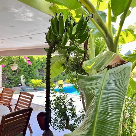 Villa Sea Front Private With Salt Pool *